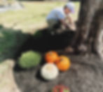 Eldersburg local landscape company mulching a tree base.