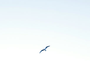 The Best Household Staffing Options for Busy Professionals