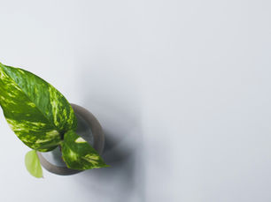 Why Invest in Elite Household Staffing Solutions