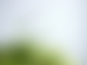 How to Train Your Household Staff for Success