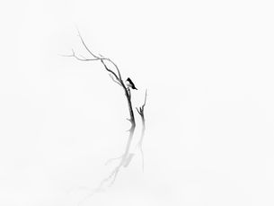 Why Personalized Staffing Solutions Matter for Your Home