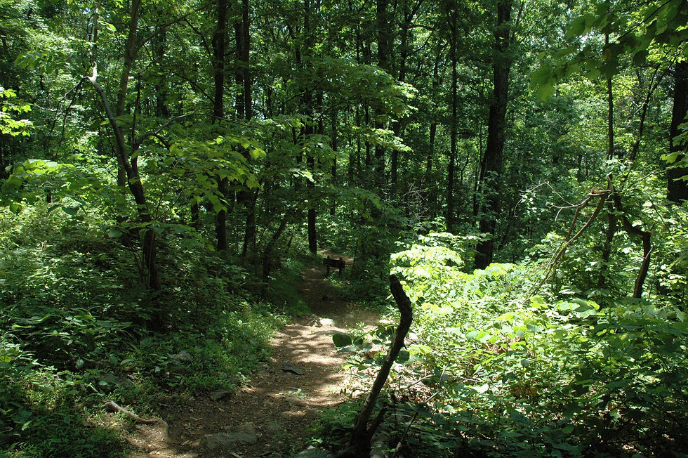 Ambassador Whitehouse Trail