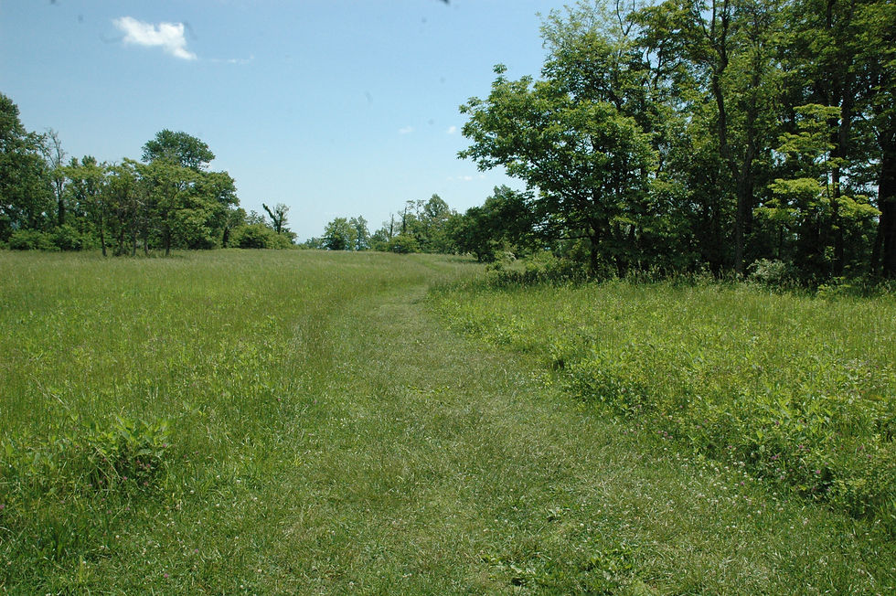 Ambassador Whitehouse Trail