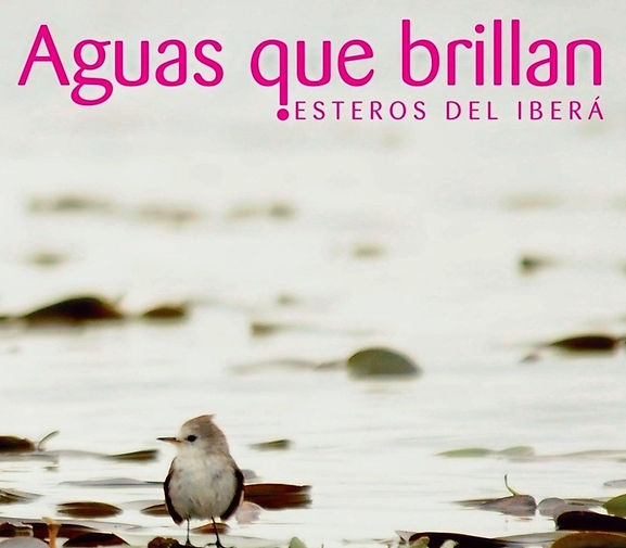 AGUASqBRILLANtapa10cms_edited_edited_edi