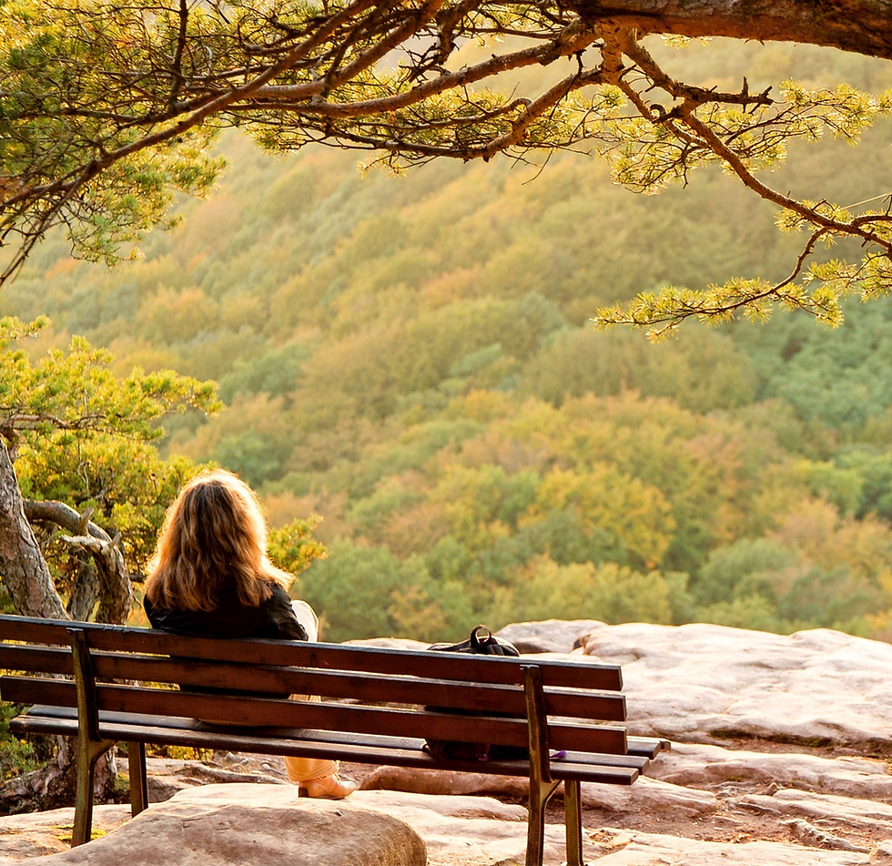 Sitting on a Bench_edited_edited.png