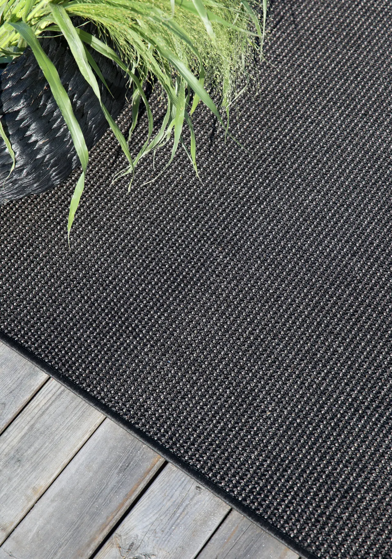 Svart utematta på trätrall