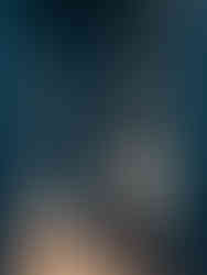 Mörkblå gästtoalett 