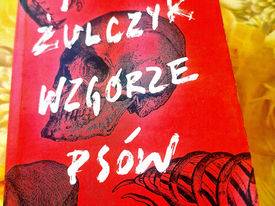 Jakub Żulczyk " Wzgórze psów" 😊😊😊