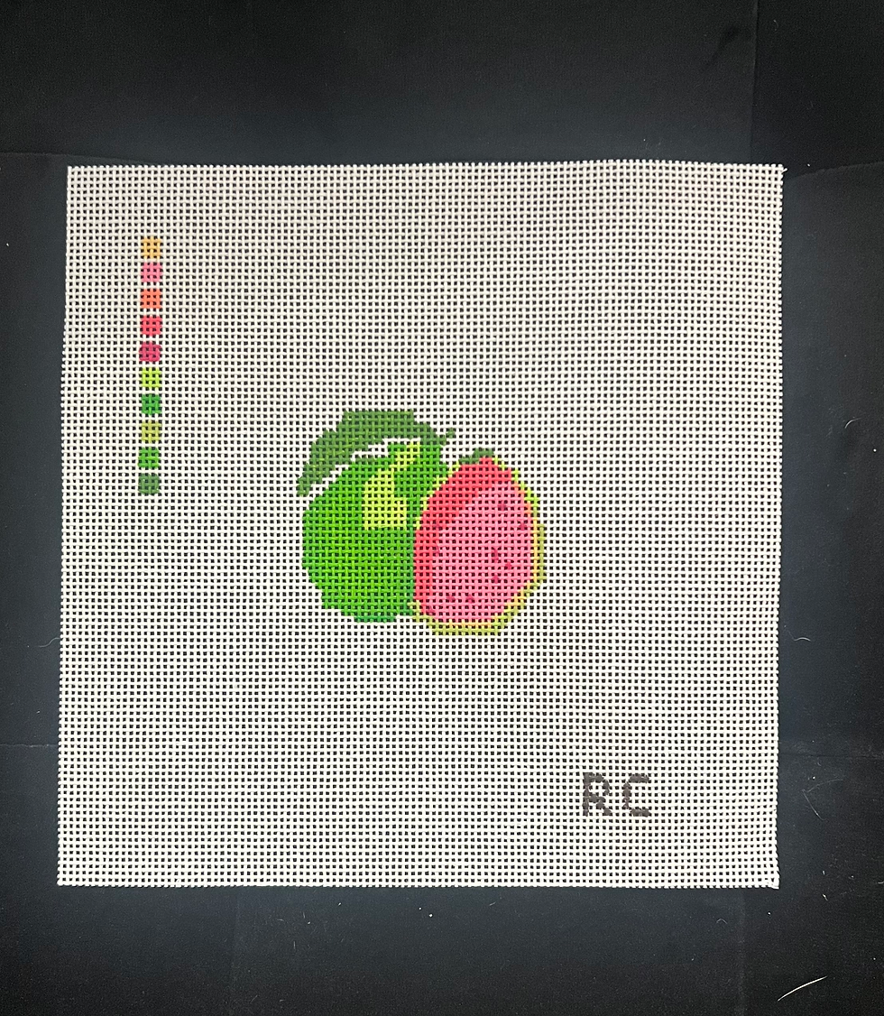 Guava Needlepoint Canvas - Renni Co