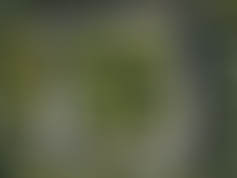 Stow Landscape Design Showcase: Boyd Inc. Portfolio