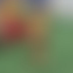 Understanding the Role of Service and Emotional Support Dogs