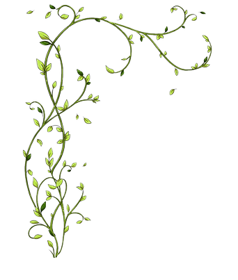 kisspng-twig-floral-design-green-plant-s