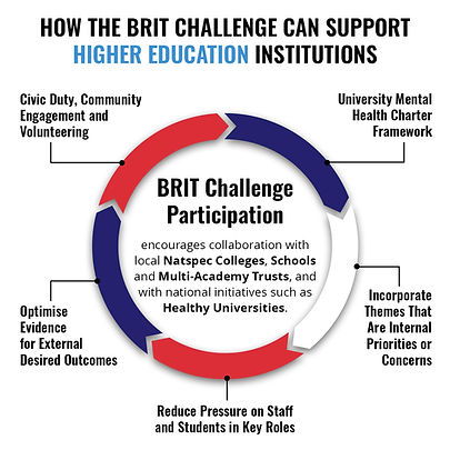 BRIT-Challenge-for-HE.jpg