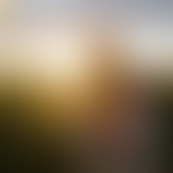 Ergoterapinin Çocuk Gelişimindeki Önemi: Motor, Duyusal ve Duygusal Boyutlar