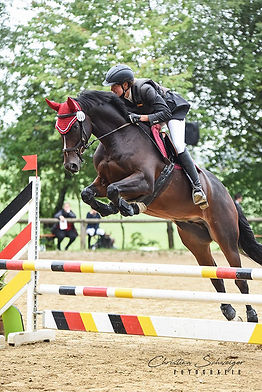 Amun Re A** Springen 2018