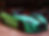 ree