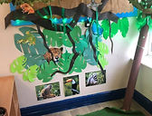 Rainforest corner.jpg