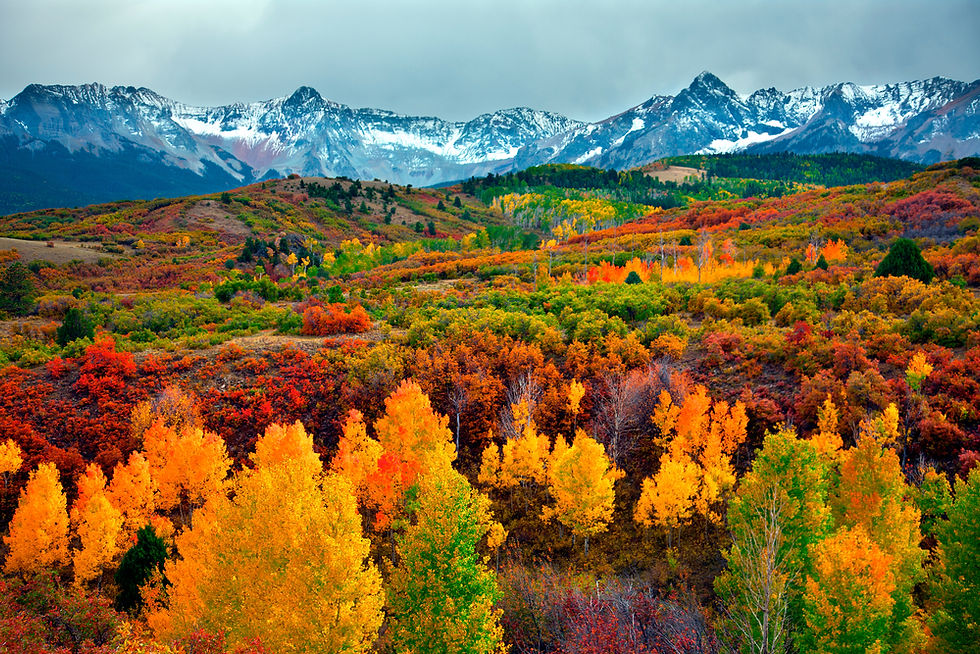Shift Counseling Grand Junction