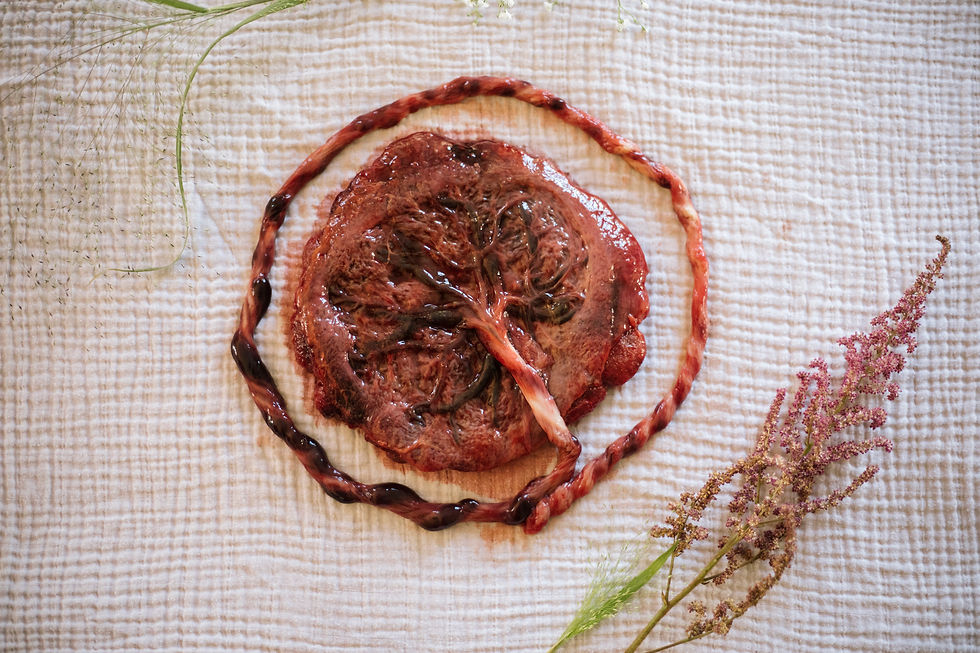 VH_Plazentakunst_221025_00561666772594210 (2)