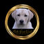 Writer: Monte Gerass kennel