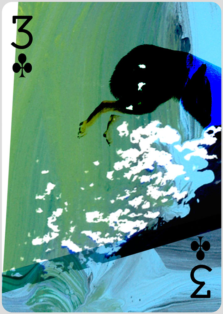 clover_3