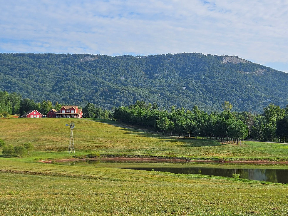 Eye-level view of a rustic barn wedding venue with mountain views