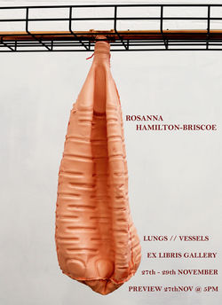 FINISHED ex libris poster