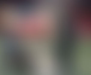 Educação Infantil: “Um sonho de quintal”