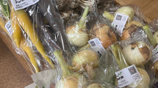 沖縄野菜入荷しました🥕