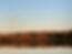 Hardwoods-Fall-1.jpeg