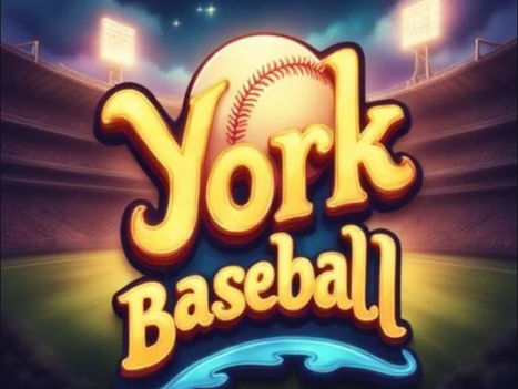 York Baseball and the March Break Experience