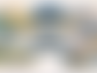 The Team That Built Baseball in Toronto: The Island Years