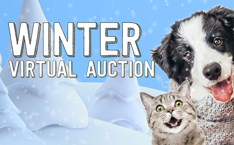 website_2023_winter-auction_main_graphic_open.jpg