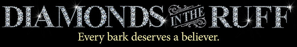 website_0825 diamond dogs main graphic-headline only.jpg