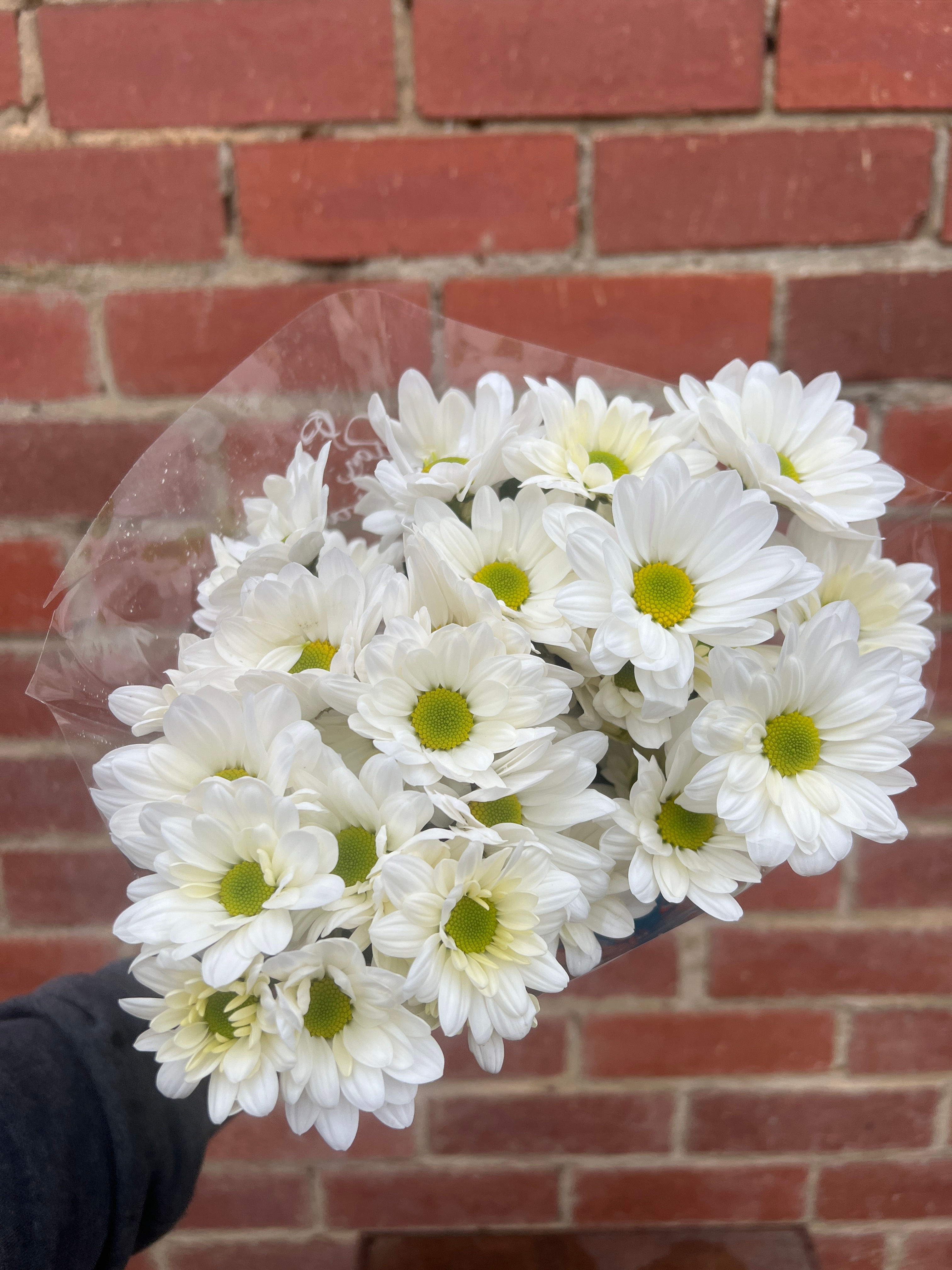 Chrysanthemum Chrysco Fresh Market Bunch