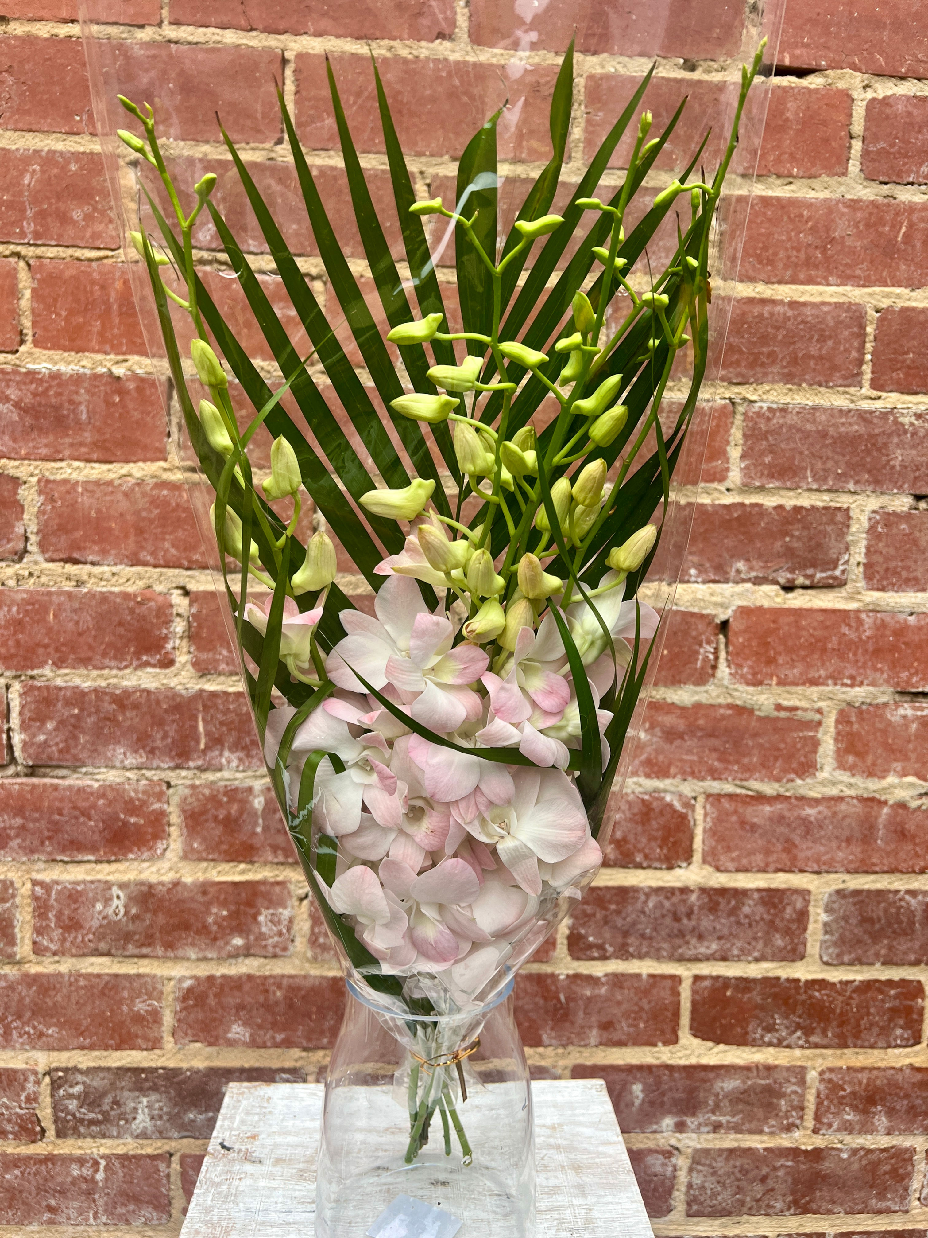 Singapore Orchid with Palm Leaves