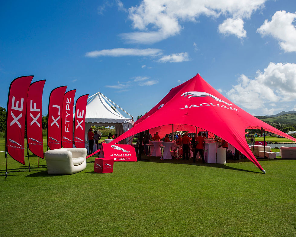 Gazebo, champion flags & tobblo