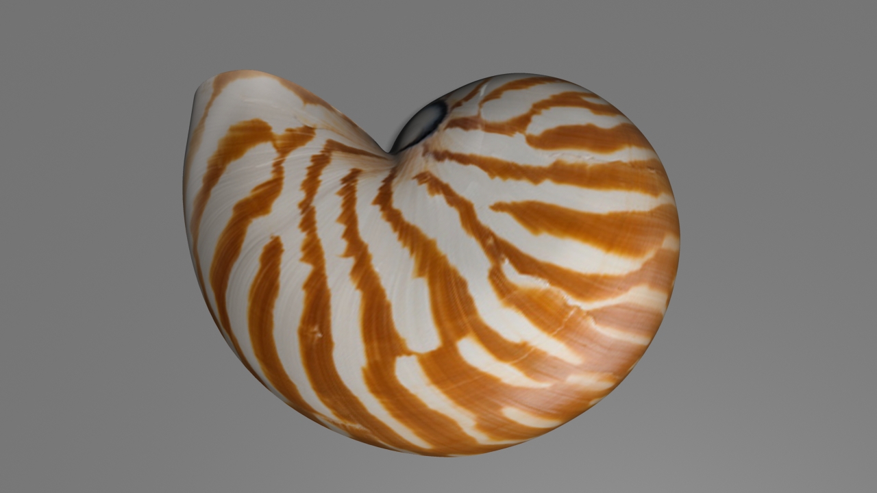Nautilus2