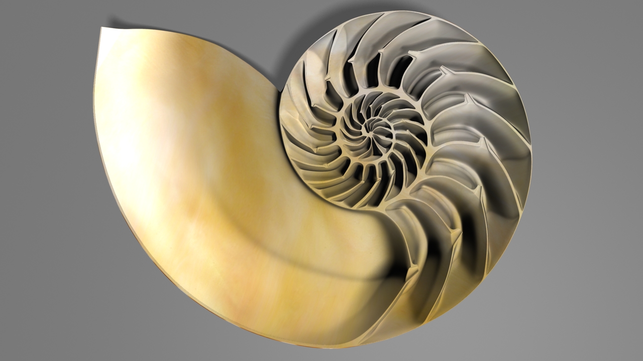 Nautilus1