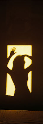 dailylife_photo_anamariahenriques