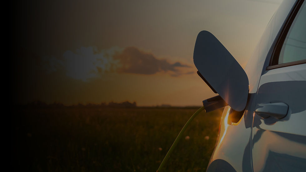 Untitled design (31).png