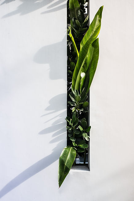 helena-yankovska-wNxqGDUdjbA-unsplash(1).jpg