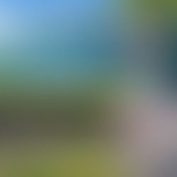 反對海上賽鴿行政訴訟第三次準備庭紀要