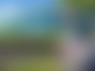 反對海上賽鴿行政訴訟第三次準備庭紀要