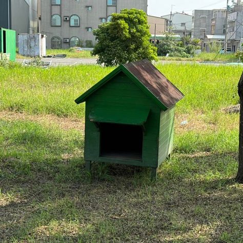 施柏男里長提遊盪犬新解方案 動團高度肯定