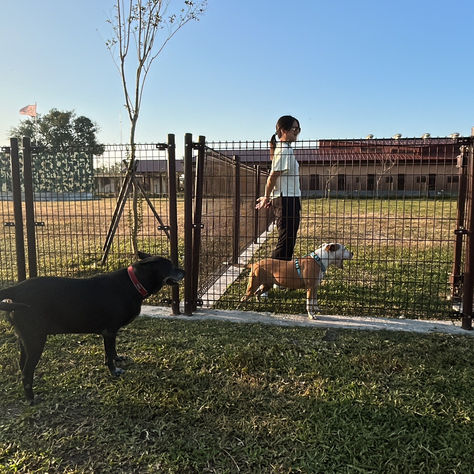 萌軍營區　屏東「心」毛孩樂園