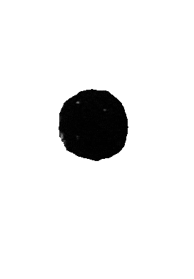 2-unscreen-min.gif