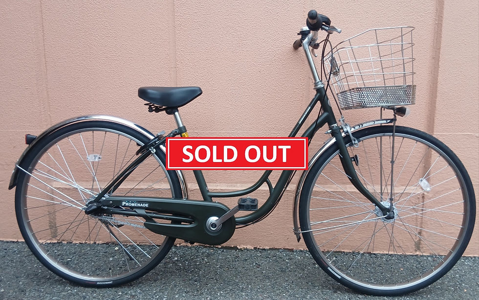 29,800円(税込)