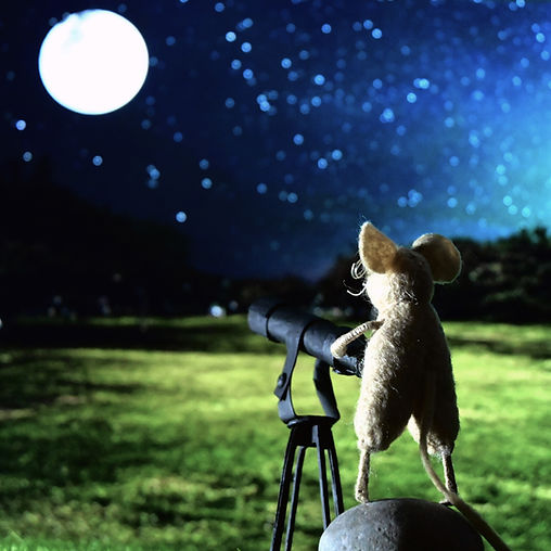 Star Light Star Bright.jpg