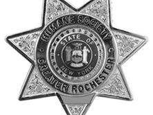 LOLLYPOP FARM HUMANE LAW ENFORCEMENT ANNOUNCES FELONY ARREST IN CITY OF ROCHESTER